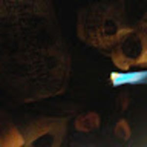 Meet your Posher, Aidan